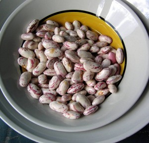 dried-shell-beans